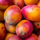 Imagem - Preço da manga tem queda de 54% nos mercados da Bahia