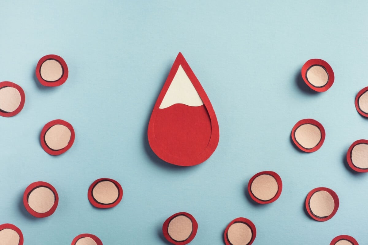 A falta de ferro no sangue pode ter implicações profundas e surpreendentes em diversos sistemas do corpo (Imagem: Helena Nechaeva | Shutterstock)