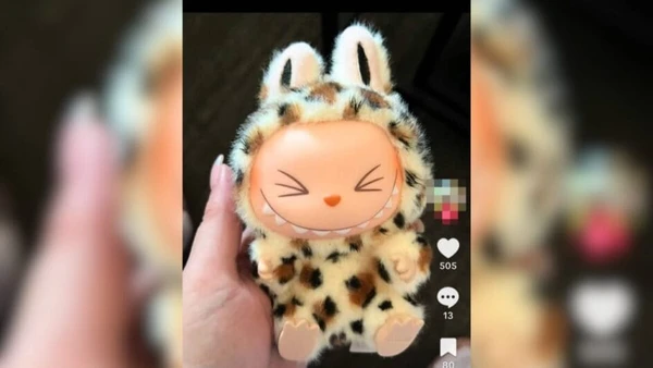  Ídolos de k-pop foram os primeiros a popularizar o Labubu  por Redes sociais, Reprodução)