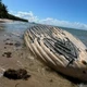 Imagem - Baleia é encontrada morta em praia de destino turístico na Bahia