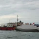 Imagem - Barco com turistas vira e deixa pelo menos 34 mortos no Vietnã