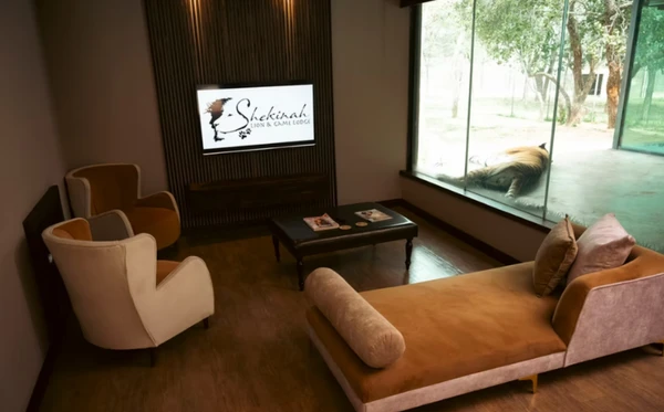 Shekinah Lion & Game Lodge, na África do Sul por Divulgação