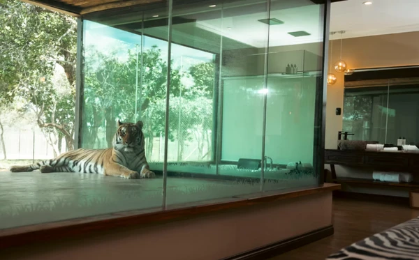 Shekinah Lion & Game Lodge, na África do Sul por Divulgação