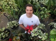 Imagem - Delivery de plantas: engenheiro agrônomo que era motorista de aplicativo monta negócio inusitado em Salvador