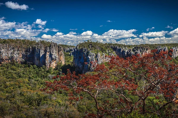 Parque Nacional Cavernas do Peruaçu por Divulgação