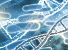 Imagem - Não foi por falta de aviso: chegamos ao ponto em que os antibióticos começaram a falhar