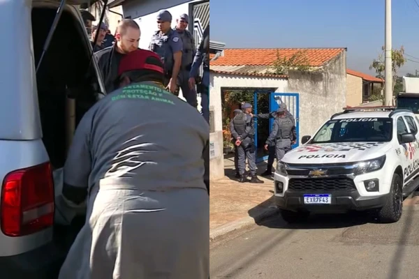 Criança de 2 anos foi atacada por pitbull em Hortolândia, SP