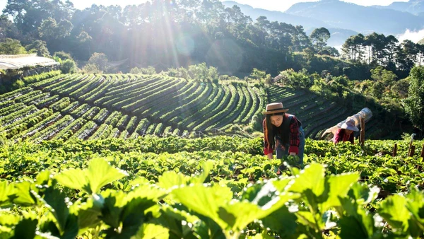 De forma surpreende, vizinho do Brasil aparece isolado no topo do estudo
