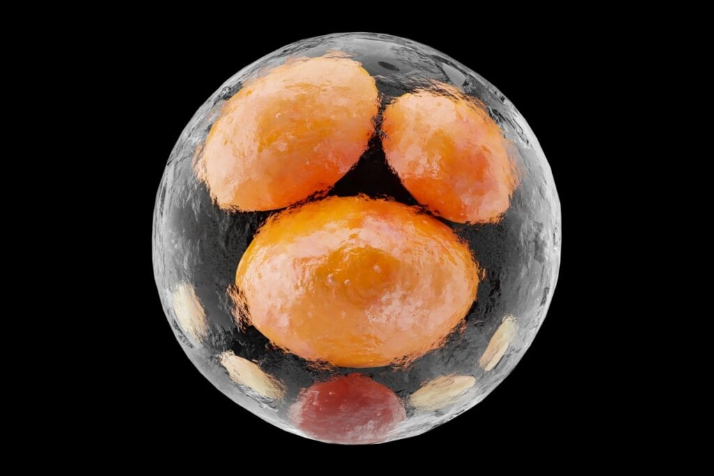Composto encontrado nas frutas vermelhas abre espaço para pesquisas futuras sobre a redução de gordura em humanos (Imagem: ALIOUI MA | Shutterstock)