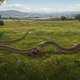 Imagem - 5 cobras gigantes que dominaram a Terra antes dos humanos