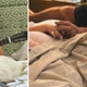 Imagem - Como foram os últimos momentos de Fran Gil ao lado da mãe Preta