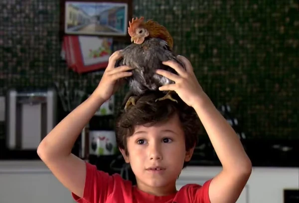 Galinha Serama virou pet por Reprodução/Globo Rural
