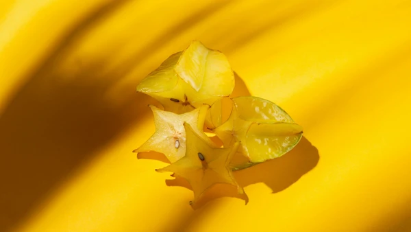 Veja como plantar carambola e ter uma planta deslumbran por Foto: Banco de imagens 