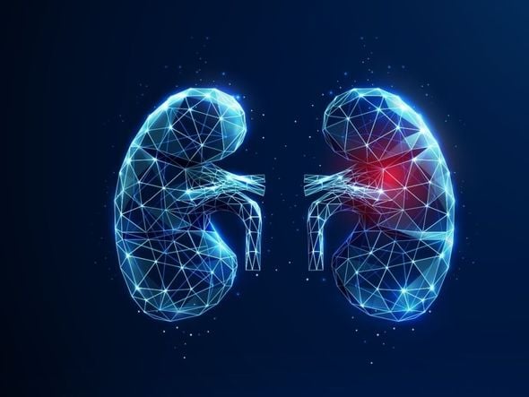 Imagem - Conheça os sintomas da síndrome nefrótica em crianças 