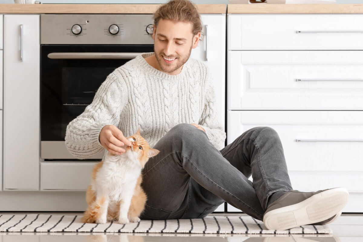 O uso de petiscos é uma das formas mais eficazes de ensinar o gato a vir quando chamado (Imagem: Pixel-Shot | Shutterstock)