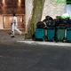Imagem - Denúncia contra restaurante no Rio Vermelho é arquivada pelo MP, e moradores se queixam