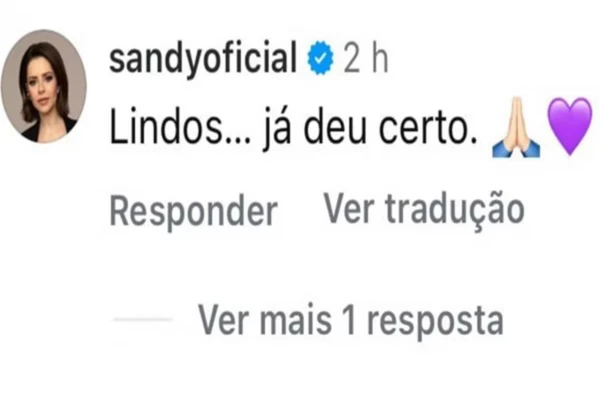 Comentário de Sandy Júnior por Reprodução / Redes Sociais