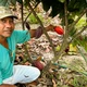 Imagem - Negociação, tecnologia e inteligência fizeram questões agrárias deixar de ser um gargalo