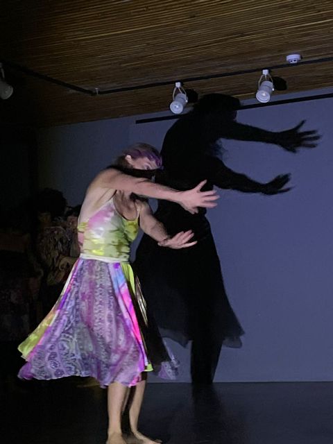 Seminários performativos da UFBA unem dança, dramaturgia e público no MAC_Bahia por Divulgação