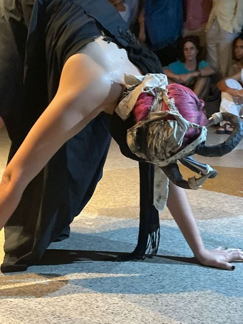 Seminários performativos da UFBA unem dança, dramaturgia e público no MAC_Bahia por Divulgação