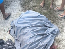 Imagem - Tiro acidental: homem mata o próprio amigo durante caçada em vegetação