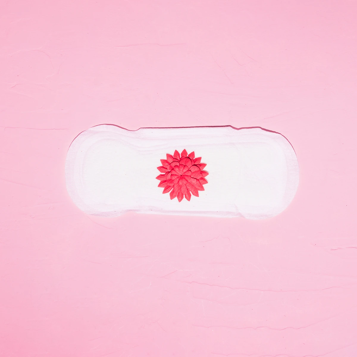 Período menstrual por Reprodução | Freepik e Redes Sociais