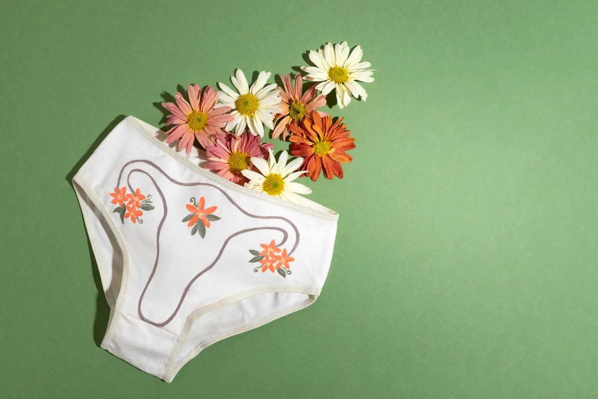Período menstrual por Reprodução | Freepik e Redes Sociais