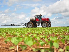 Imagem - Frutas e tilápias são as maiores preocupações do agro baiano, diz presidente da Faeb