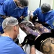 Imagem - Conselho Federal de Medicina proíbe uso de anestesia geral e sedação para realização de tatuagens