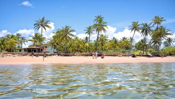 Barra Grande, na Bahia por Reprodução