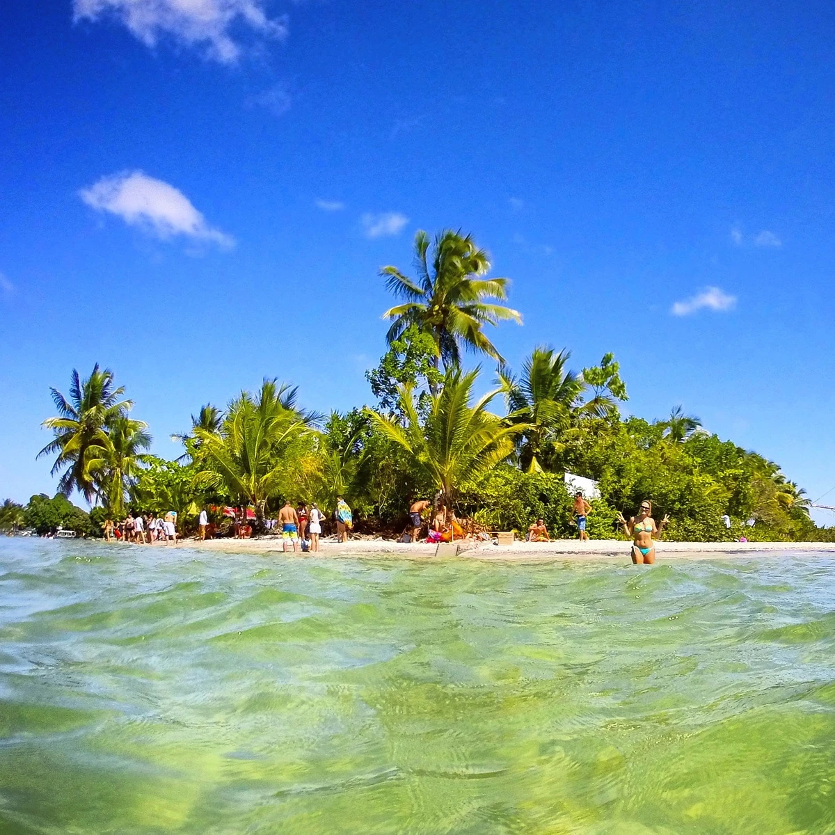 Barra Grande, na Bahia por Reprodução