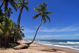 Barra Grande, na Bahia por Reprodução
