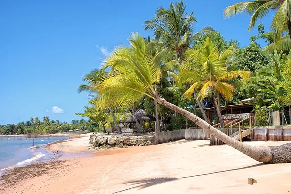 Barra Grande, na Bahia por Reprodução