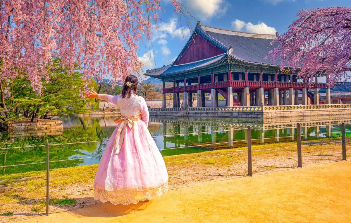 Coreia do Sul por Reprodução