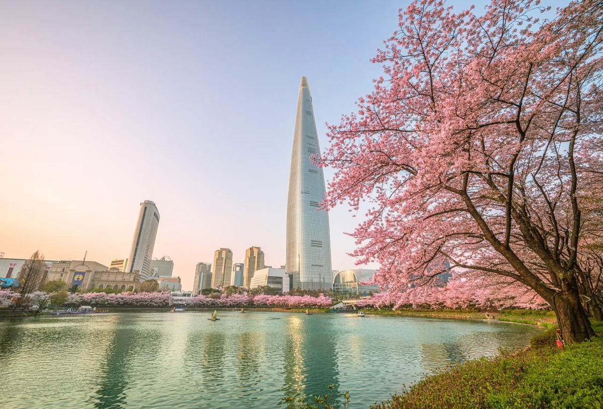 Coreia do Sul por Reprodução