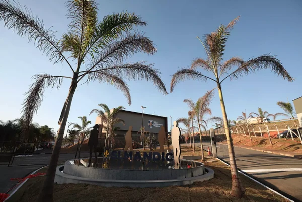 Medicina por Reprodução