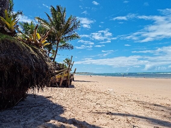 Praia de Algodões por Reprodução