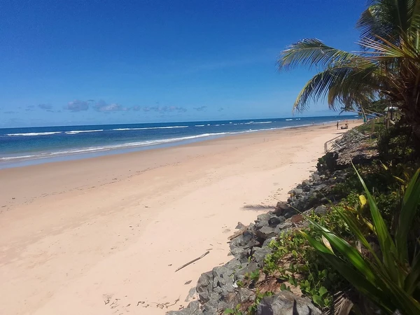 Praia de Algodões por Reprodução