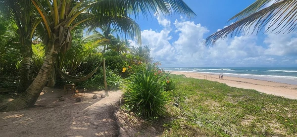 Praia de Algodões por Reprodução