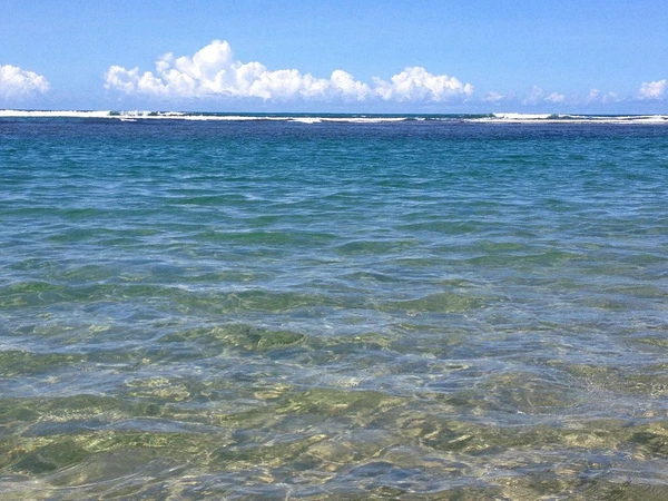 Praia de Algodões por Reprodução