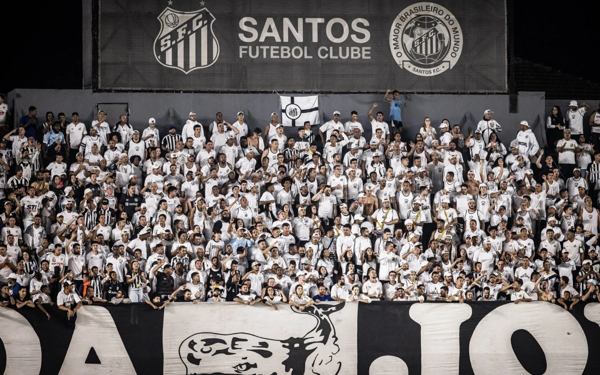 Torcida do Santos por Divulgação