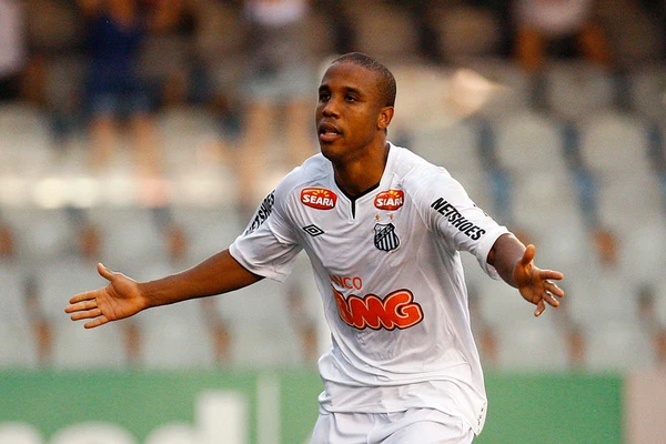 Borges (Santos) -12  gols a essa altura em 2011 por Divulgação
