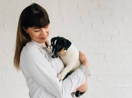 Cães têm a capacidade de farejar sinais de doenças por Shutterstock