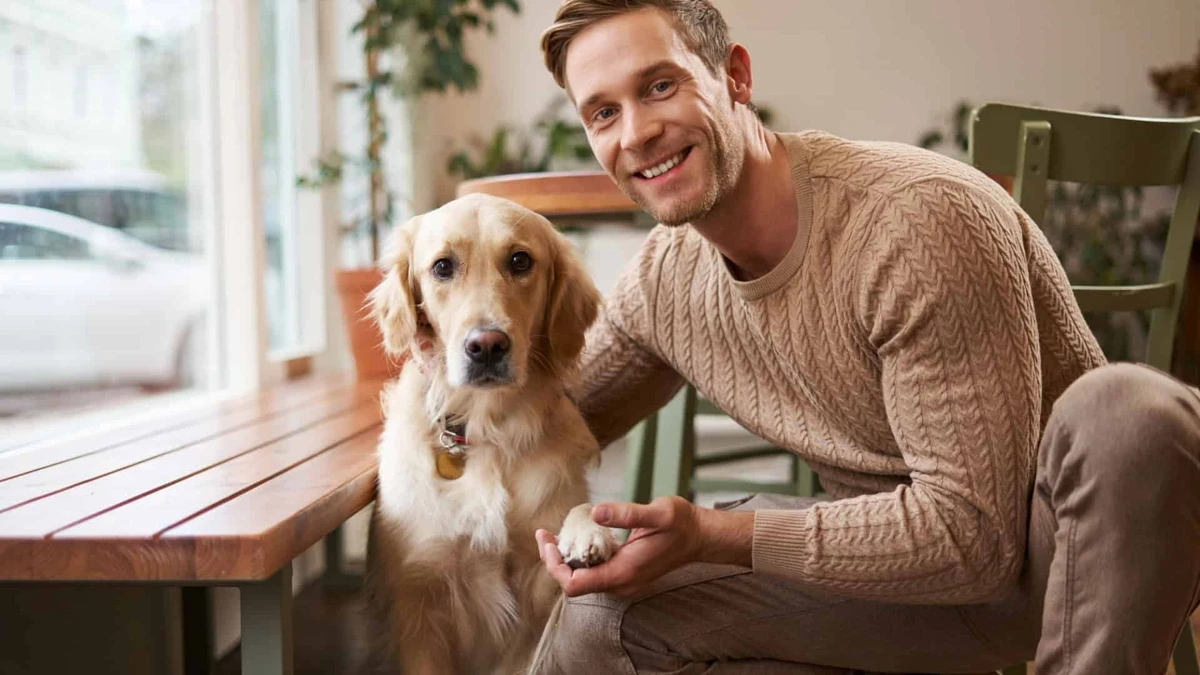 Cães têm a capacidade de farejar sinais de doenças por Shutterstock