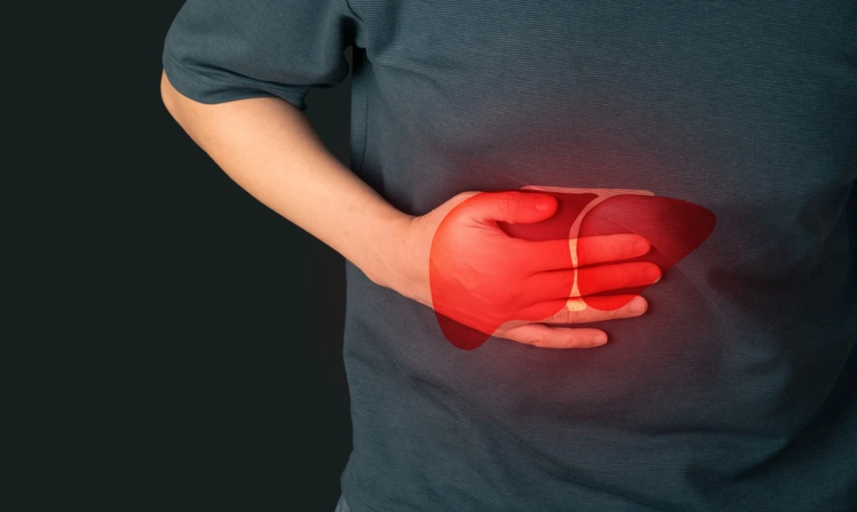 Gordura no fígado pode ser grave por Shutterstock