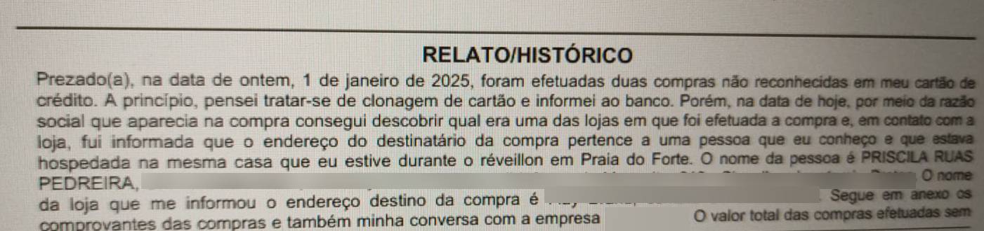 Trecho do boletim de ocorrência contra Priscila Ruas em denúncia de furto qualificado ao cartão de crédito de uma amiga em janeiro de 2025 por Reprodução