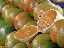 Imagem - Exceções do tarifaço representam 43,4% do valor exportado aos EUA