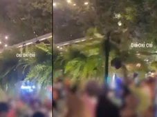 Imagem - Público furta 500 samambaias em festa na Bahia e causa prejuízo de R$ 7 mil