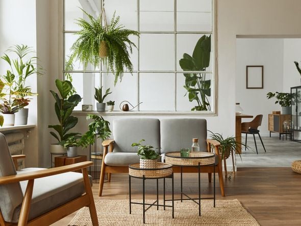 Imagem - 3 dicas para transformar os ambientes com plantas na decoração
