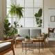 Imagem - 3 dicas para transformar os ambientes com plantas na decoração